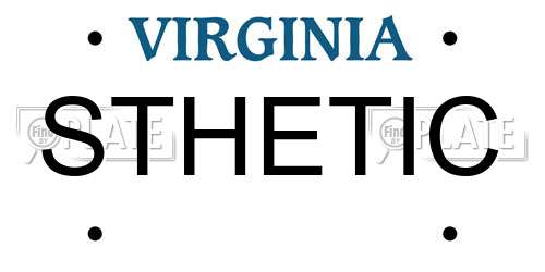STHETIC Virginia License Plate