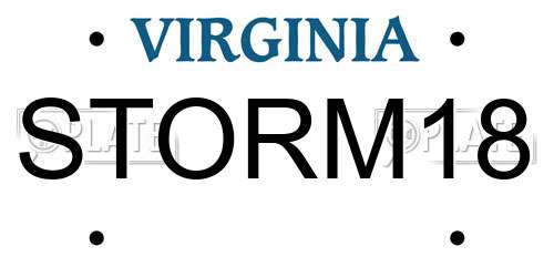 STORM18 Virginia License Plate