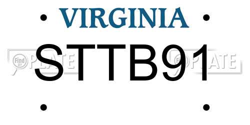 STTB91 Virginia License Plate