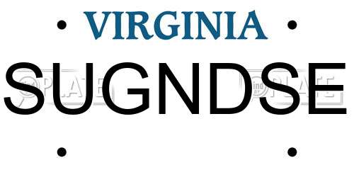 SUGNDSE Virginia License Plate