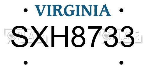 SXH8733 Virginia License Plate