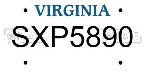SXP5890 Virginia License Plate