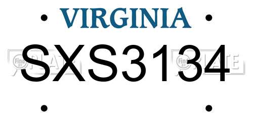SXS3134 Virginia License Plate
