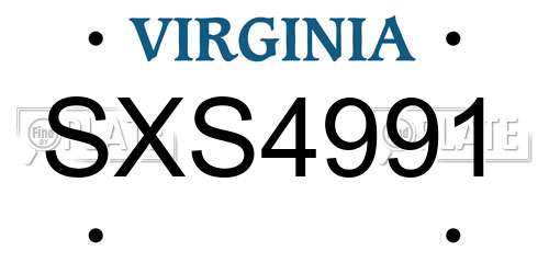 SXS4991 Virginia License Plate