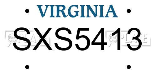 SXS5413 Virginia License Plate