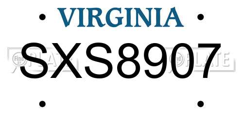 SXS8907 Virginia License Plate