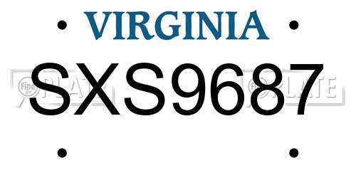 SXS9687 Virginia License Plate