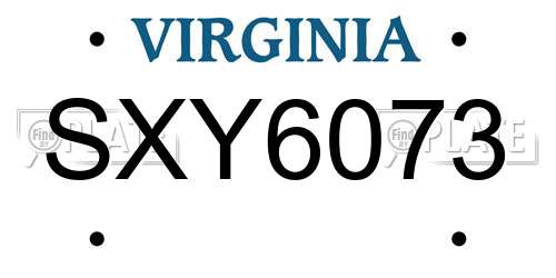 SXY6073 Virginia License Plate