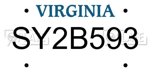 SY2B593 Virginia License Plate