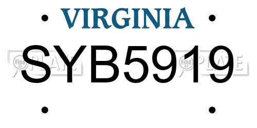 SYB5919 Virginia License Plate