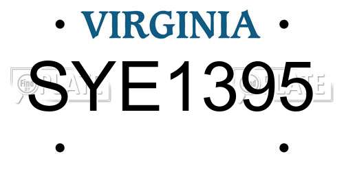SYE1395 Virginia License Plate