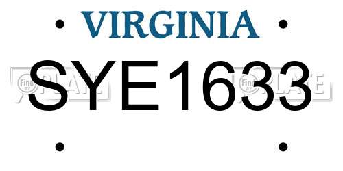 SYE1633 Virginia License Plate