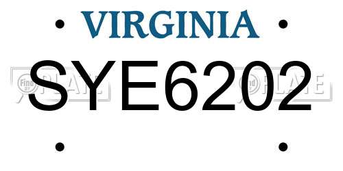 SYE6202 Virginia License Plate