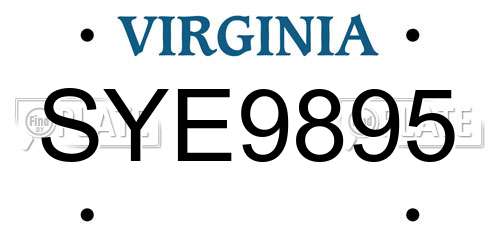 SYE9895 Virginia License Plate