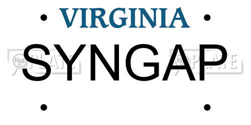 SYNGAP Virginia License Plate