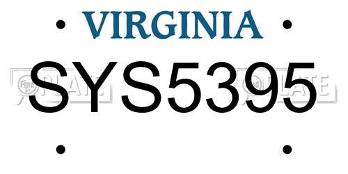 SYS5395 Virginia License Plate