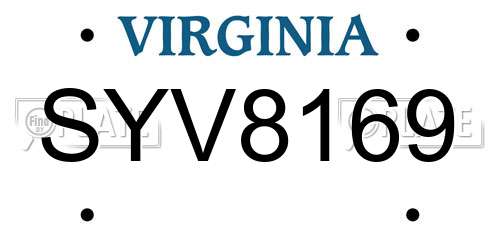 SYV8169 Virginia License Plate