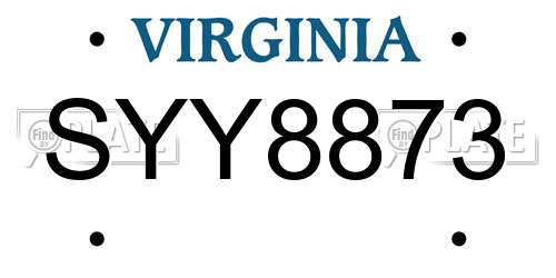 SYY8873 Virginia License Plate