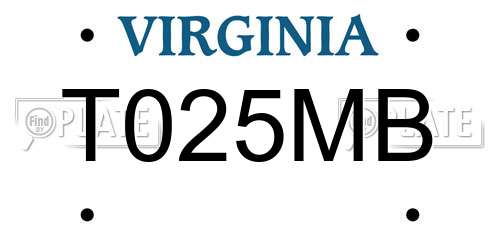 T025MB Virginia License Plate