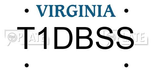 T1DBSS Virginia License Plate
