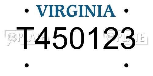 T450123 Virginia License Plate