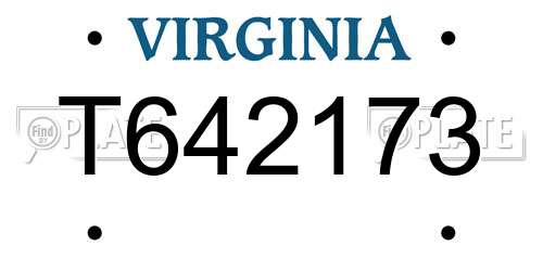 T642173 Virginia License Plate