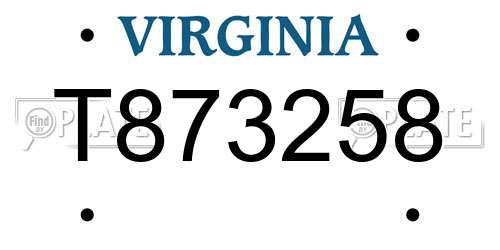 T873258 Virginia License Plate