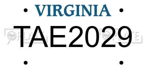 TAE2029 Virginia License Plate
