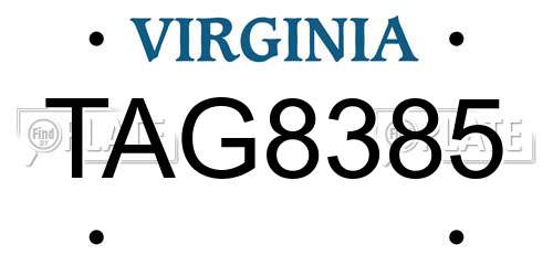TAG8385 Virginia License Plate
