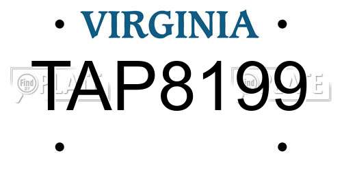 TAP8199 Virginia License Plate