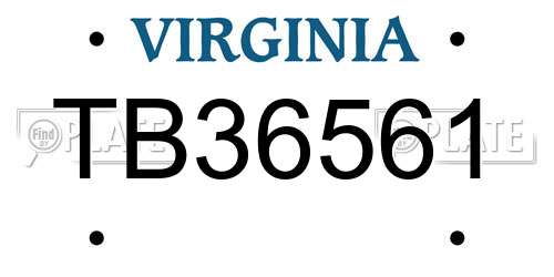 TB36561 Virginia License Plate