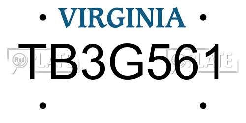 TB3G561 Virginia License Plate