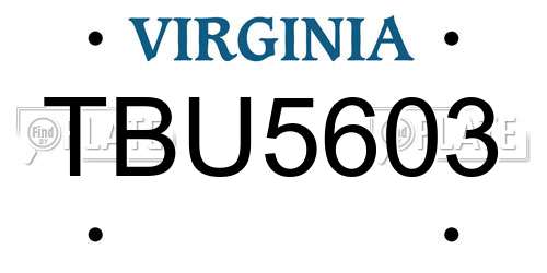TBU5603 Virginia License Plate