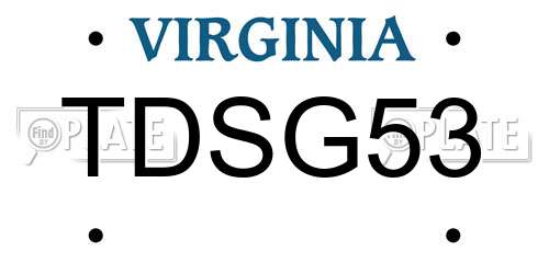 TDSG53 Virginia License Plate
