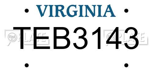 TEB3143 Virginia License Plate