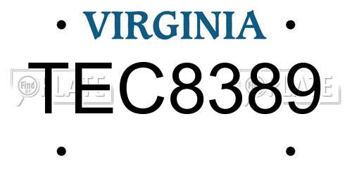 TEC8389 Virginia License Plate