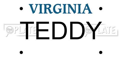 TEDDY Virginia License Plate