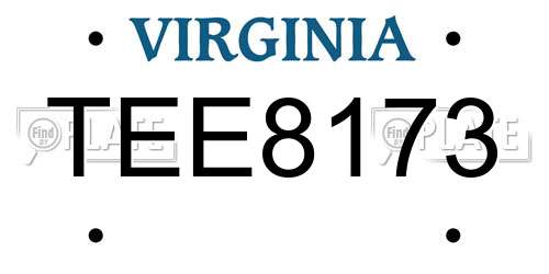 TEE8173 Virginia License Plate