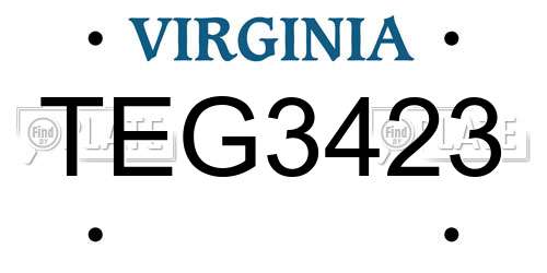 TEG3423 Virginia License Plate