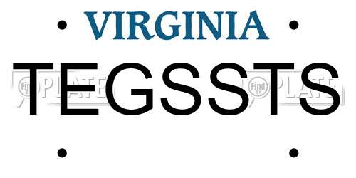 TEGSSTS Virginia License Plate