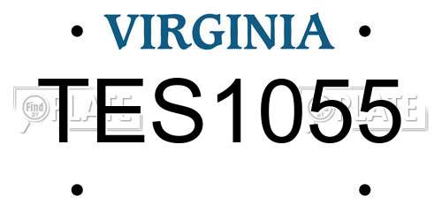 TES1055 Virginia License Plate