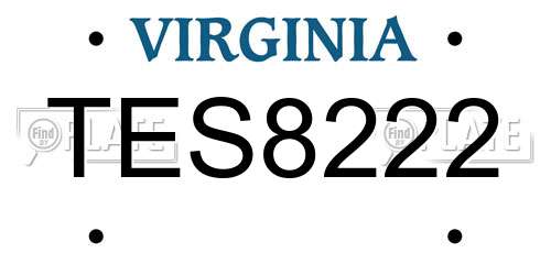 TES8222 Virginia License Plate