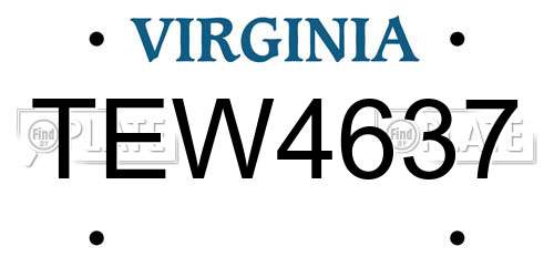 TEW4637 Virginia License Plate