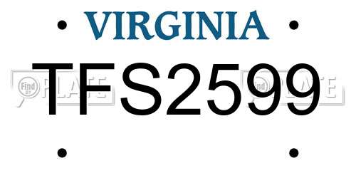 TFS2599 Virginia License Plate