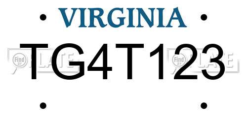 TG4T123 Virginia License Plate
