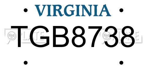 TGB8738 Virginia License Plate
