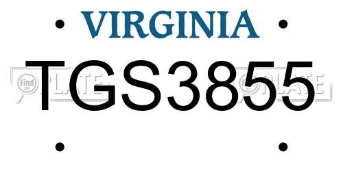 TGS3855 Virginia License Plate