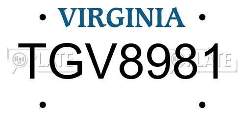 TGV8981 Virginia License Plate