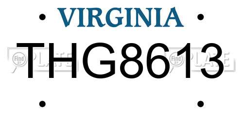 THG8613 Virginia License Plate