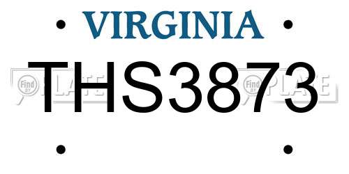 THS3873 Virginia License Plate